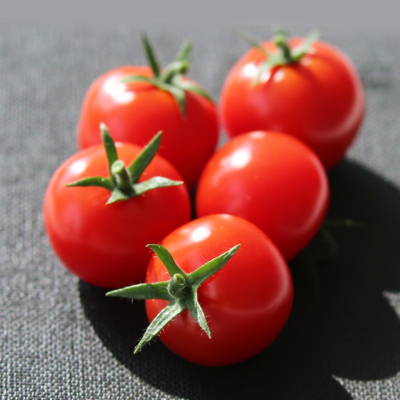 CA88(中国区)唯一官方网站