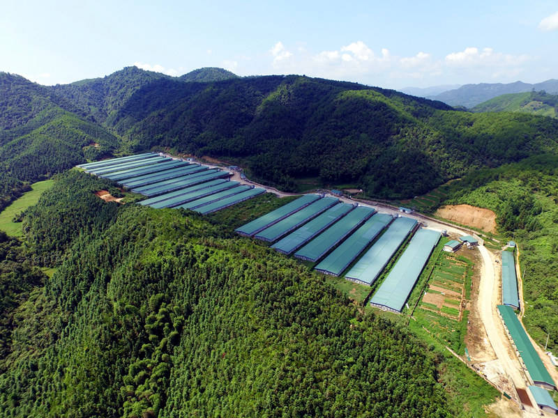 CA88(中国区)唯一官方网站