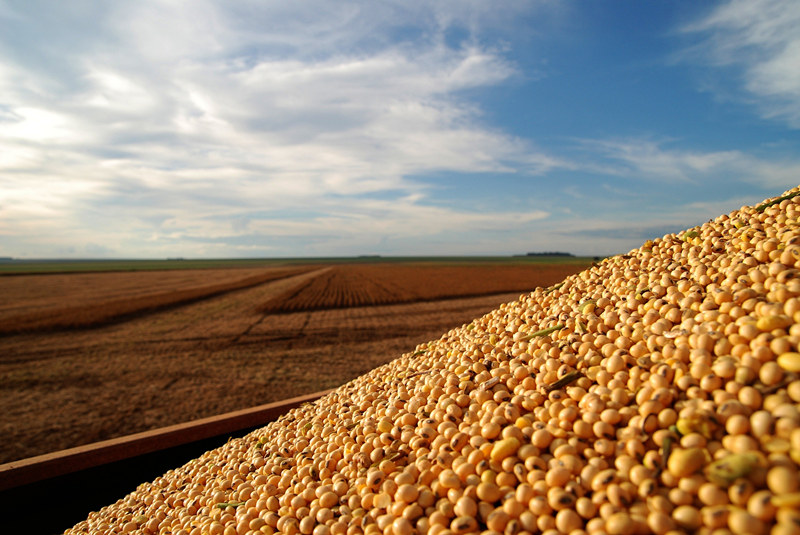 CA88(中国区)唯一官方网站