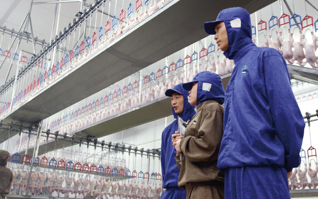 CA88(中国区)唯一官方网站