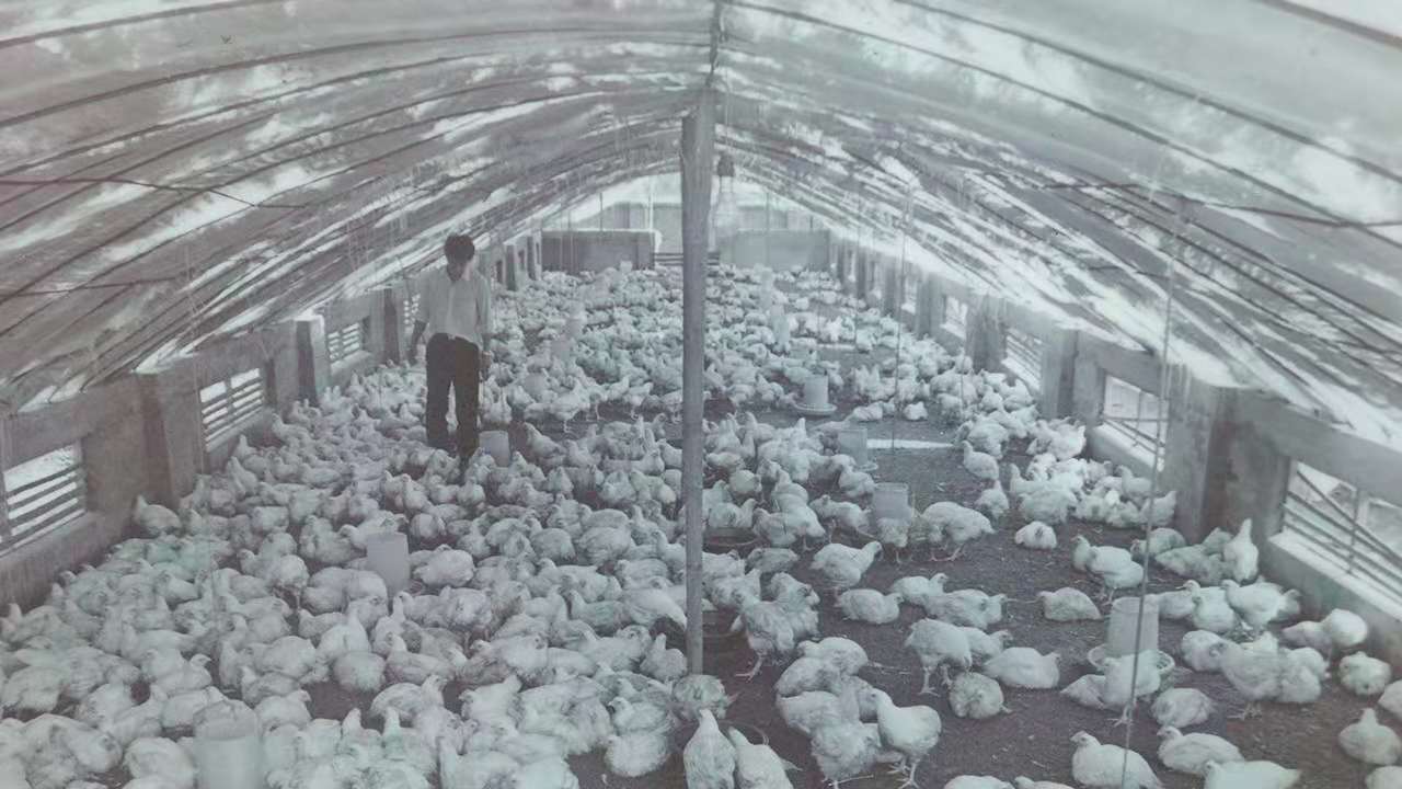 CA88(中国区)唯一官方网站