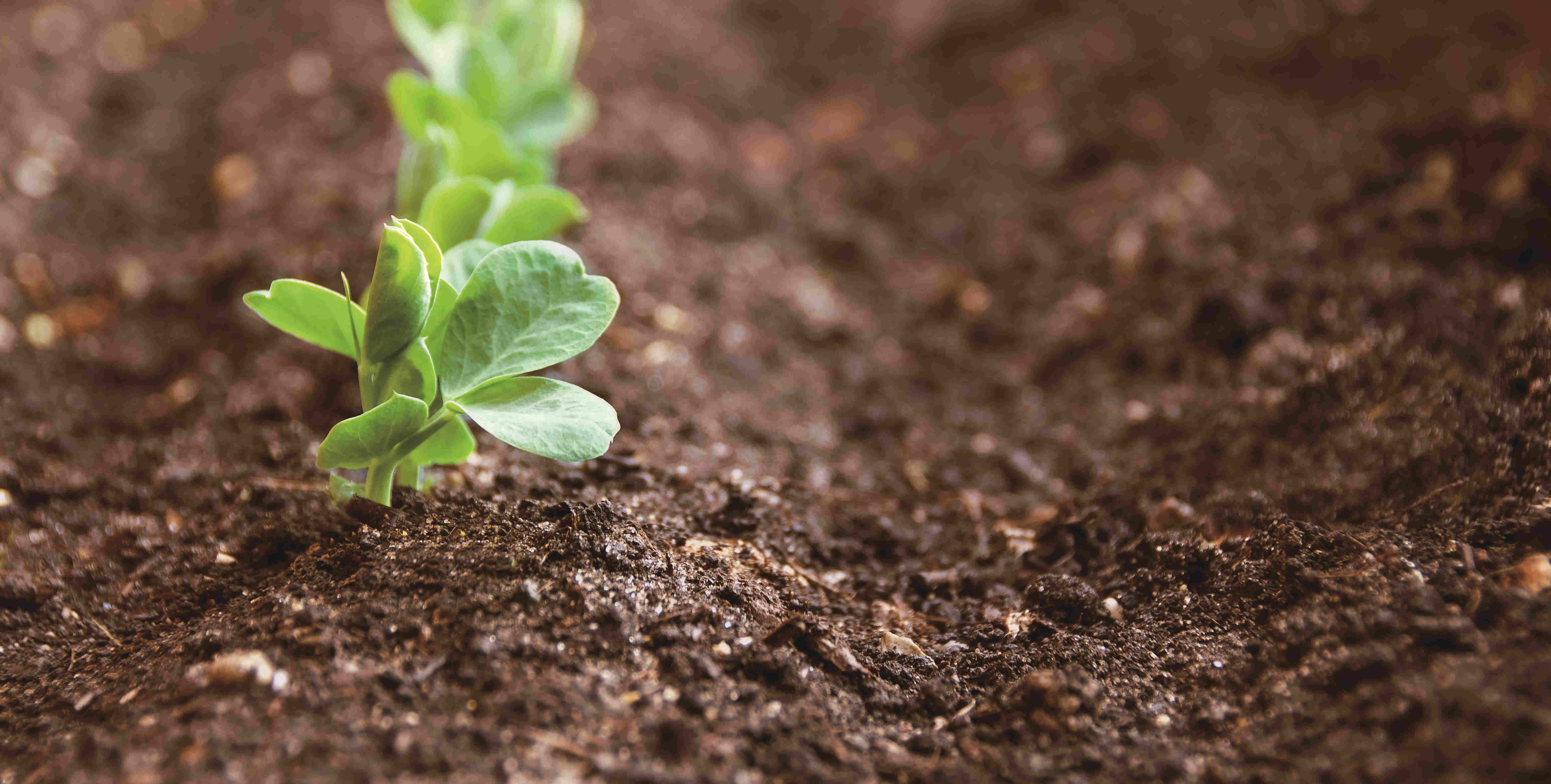 CA88(中国区)唯一官方网站