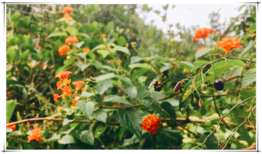 CA88(中国区)唯一官方网站