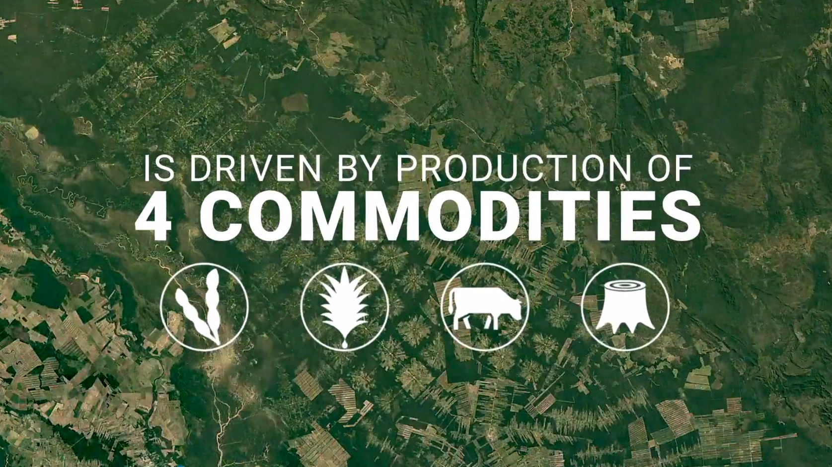 CA88(中国区)唯一官方网站